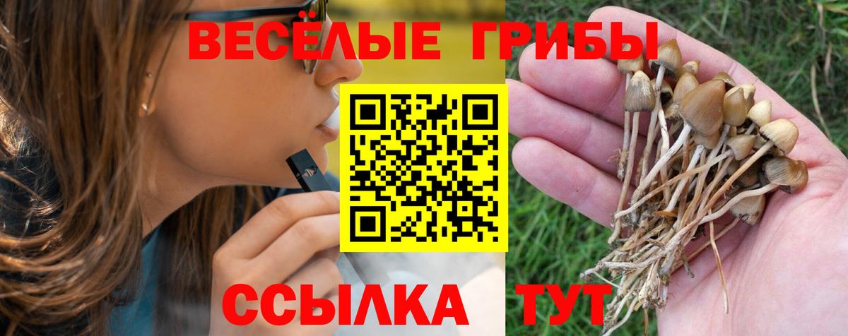 Грязи  Псилоцибиновые грибы Cubensis  сколько стоит  Вход с VPN 